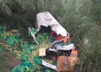 Muere prensado entre costales de elotes y el volante tras volcar camioneta en Carretera Reynosa – Nuevo Laredo