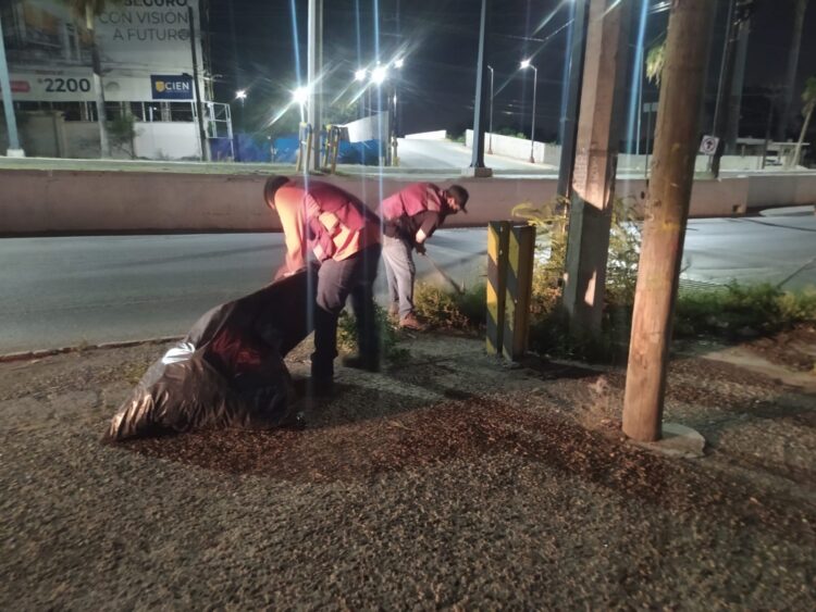 Continua embellecimiento de Reynosa a través de jornadas de mantenimiento nocturno