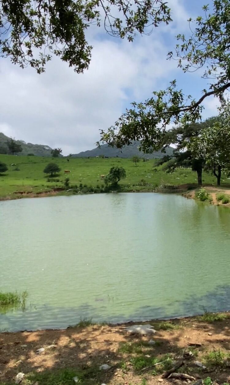 Impulsan el desarrollo de la Cooperativa Ecoturística Puerto Paraíso: Sectur
