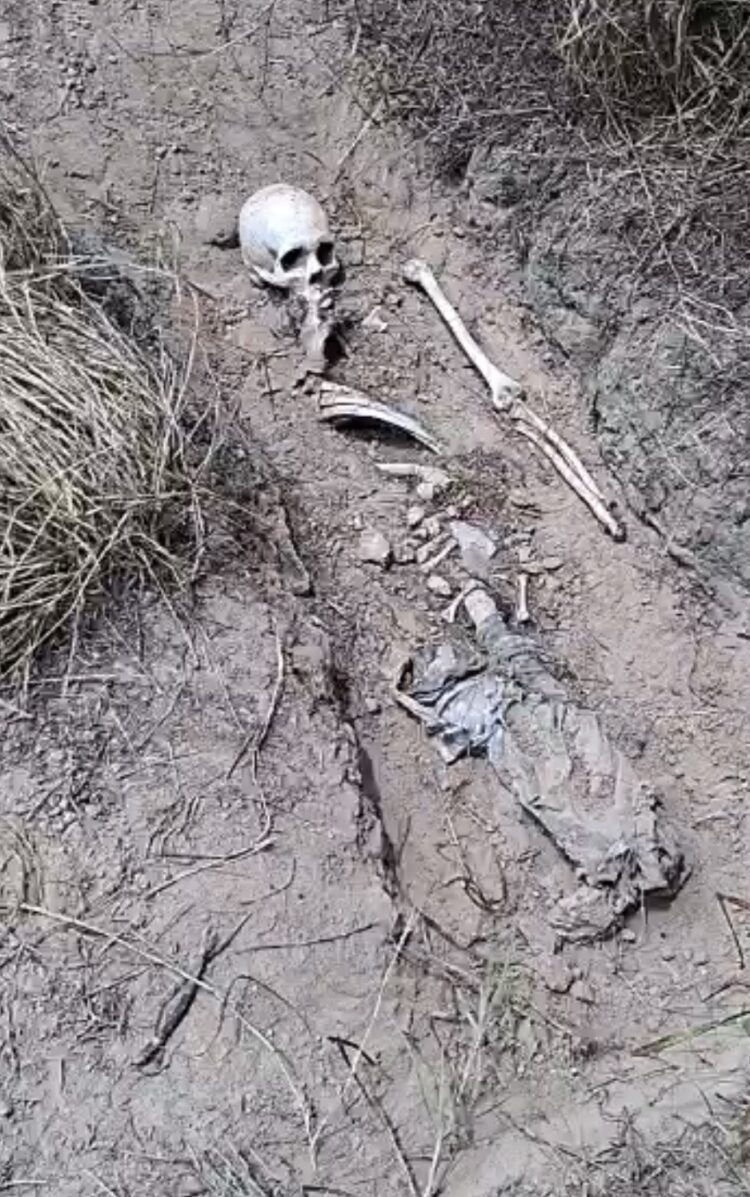 Siete fosas clandestinas y siete osamentas completas son encontradas en Rancho El Toro de Miguel Aleman