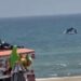 ¡Estas vacaciones vente a las playas de Tamaulipas porque  los delfines seguro sorprenden y te enamoran!