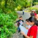 Fortalece Tamaulipas conservación de la Mariposa Monarca con participación en el Blitz Monarca 2026