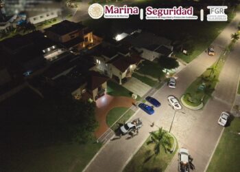 Certero golpe a la delincuencia en Tamaulipas; Decomisan inmuebles, hidrocarburos y animales exóticos