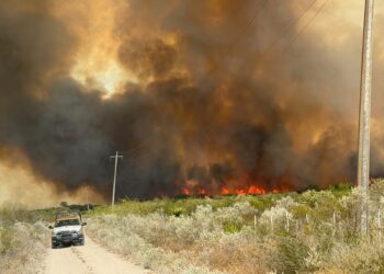 Incendio en Jiménez arrasa con cerca de mil hectáreas; Guardia Estatal mantiene activo el Plan Tamaulipas