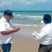 Refuerzan vigilancia y protección de tortugas marinas en campamentos de Tamaulipas