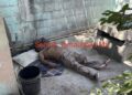 Hombre es encontrado muerto en el patio del cuarto que rentaba en Reynosa