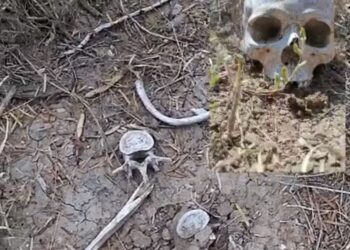 Fosa clandestina con restos humanos es localizada por Colectivo en Miguel Alemán