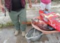 Denuncian ante la FGJT a “La Mata Perros” en Tampico