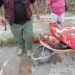 Denuncian ante la FGJT a “La Mata Perros” en Tampico